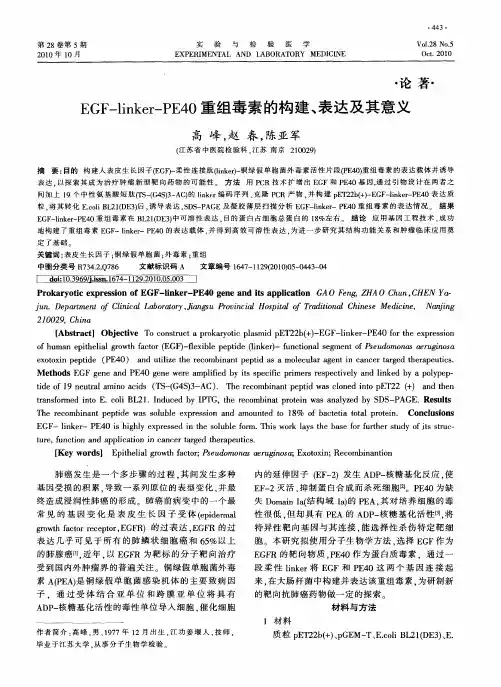 EGF-linker-PE40重组毒素的构建、表达及其意义