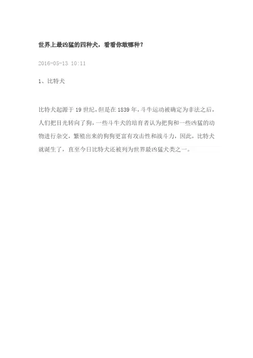 世界上最凶猛的四种犬,看看你敢哪种？