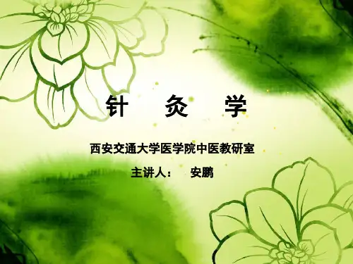 针灸学(经络俞穴概论)4.11