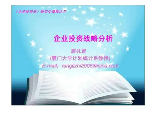 企业投资战略分析