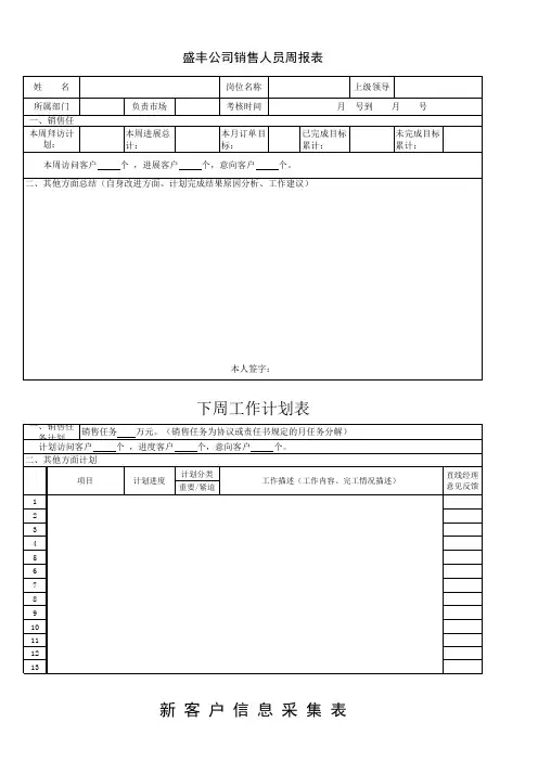 销售人员周报表