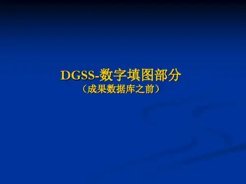 数字填图 DGSS 操作步骤