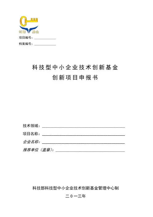 2013年国家创新基金一般项目申报书