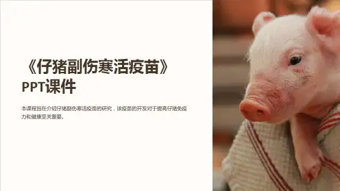 《仔猪副伤寒活疫苗》课件