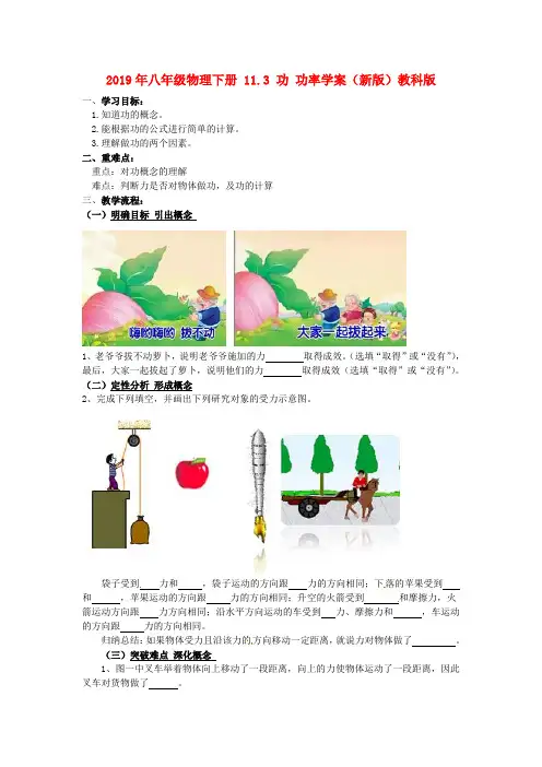 2019年八年级物理下册 11.3 功 功率学案(新版)教科版.doc