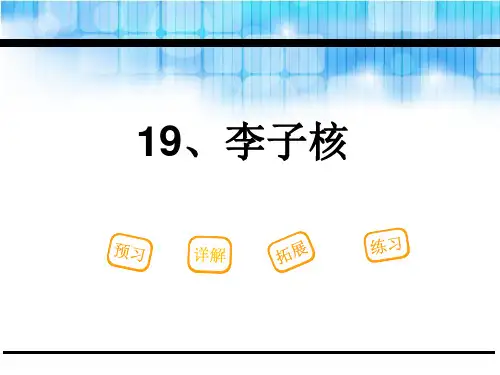 《李子核》PPT【优秀课件PPT】