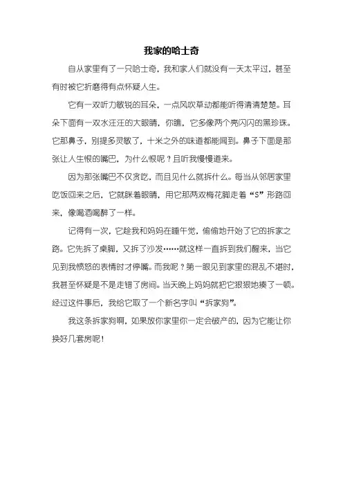 三年级作文：我家的哈士奇作文400字