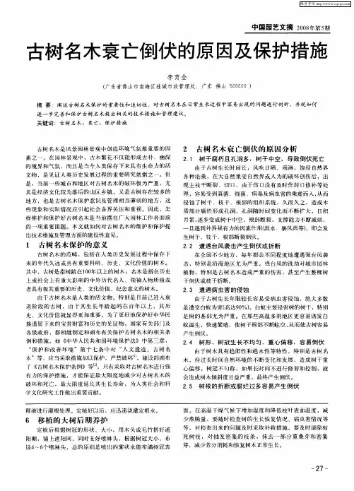古树名木衰亡倒伏的原因及保护措施