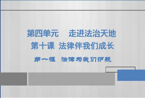 人教部编版道德与法治法律为我们护航ppt课件1