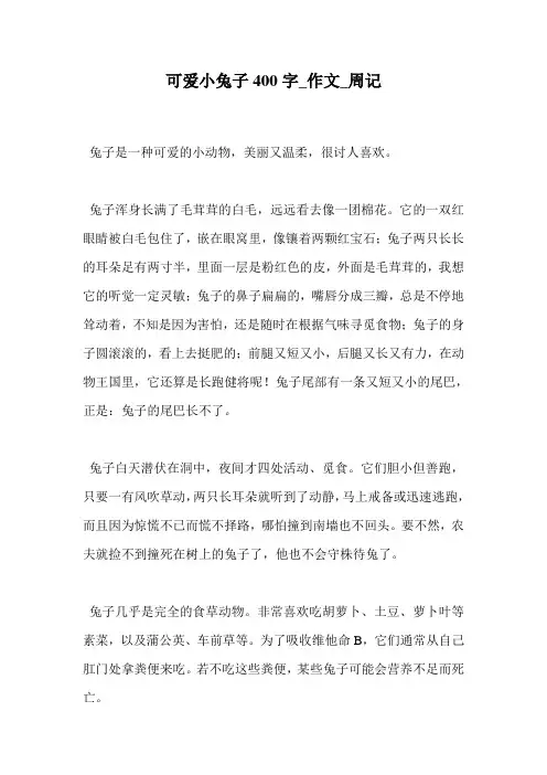 可爱小兔子400字_作文_周记