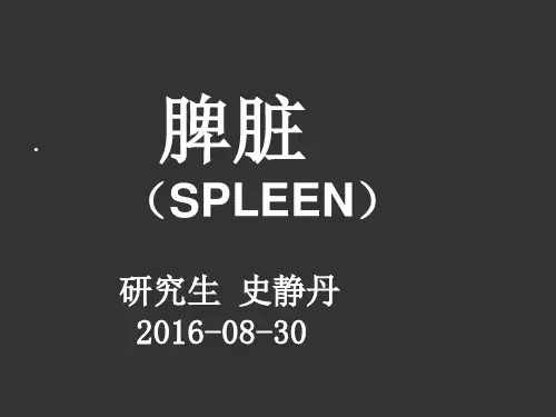 脾脏疾病【病理科】 ppt课件