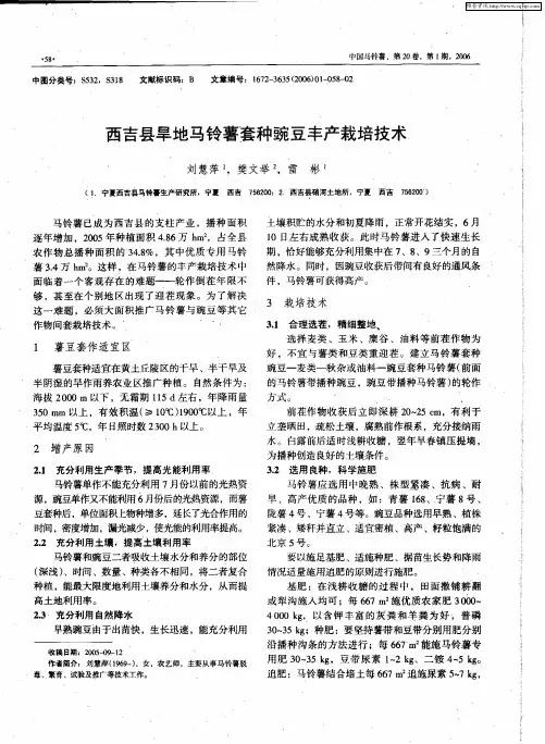 西吉县旱地马铃薯套种豌豆丰产栽培技术