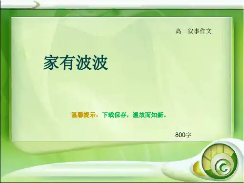 高三叙事作文《家有波波》800字