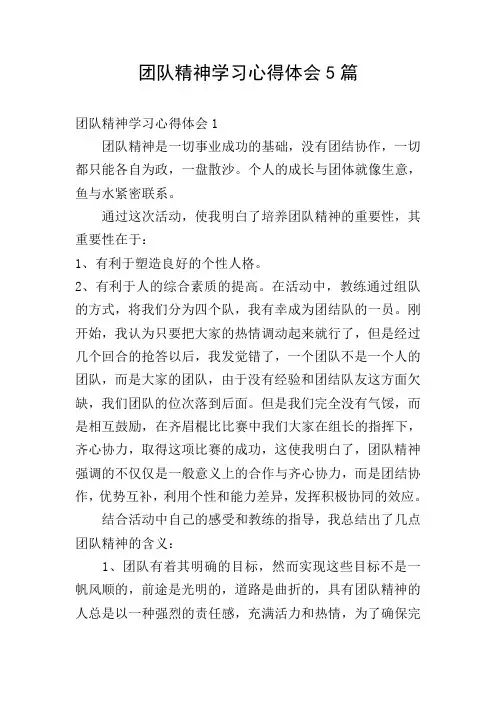 团队精神学习心得体会5篇