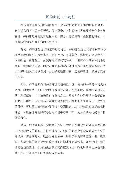蝉的卵的三个特征