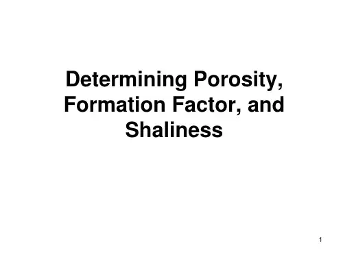 Determining Porosity, Formation Factor, and Shaliness