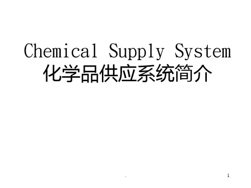 化学品供应系统简介PPT课件