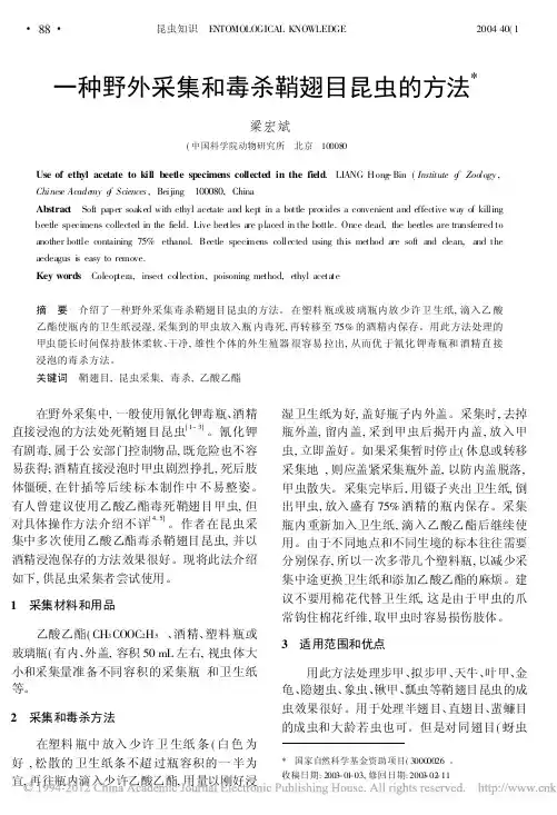 一种野外采集和毒杀鞘翅目昆虫的方法_梁宏斌