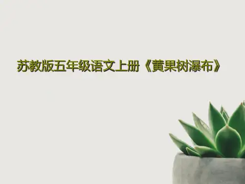 苏教版五年级语文上册《黄果树瀑布》33页PPT