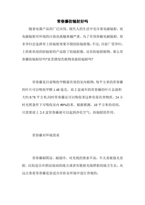 常春藤防辐射好吗