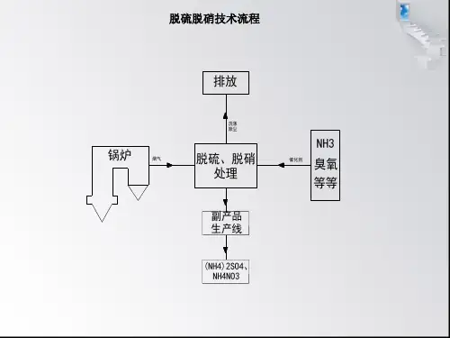 脱硫脱硝技术流程.ppt