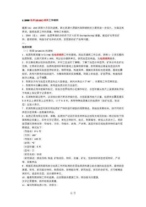 1比2000地质填图工作细则(2)