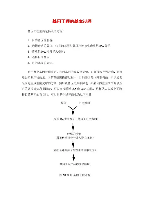 基因工程的基本过程
