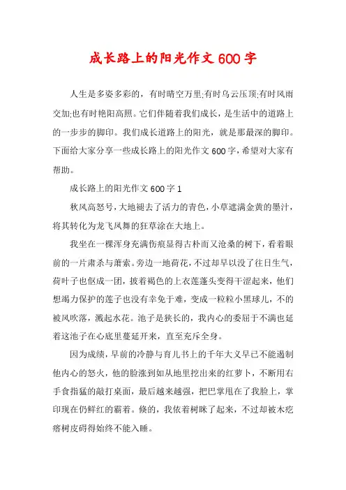 成长路上的阳光作文600字 2