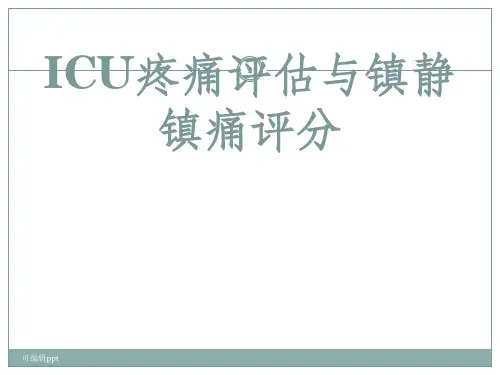 镇静镇痛评分