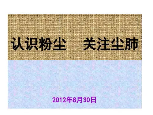 水泥企业职业健康安全知识培训会讲稿