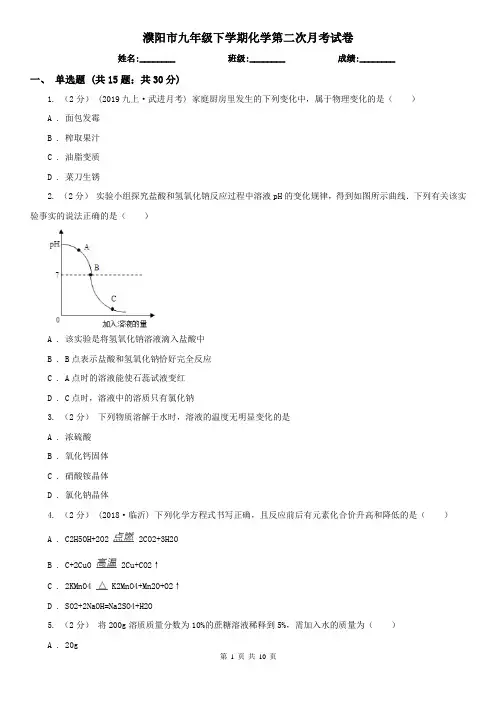 濮阳市九年级下学期化学第二次月考试卷