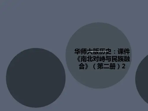 华师大版历史讲义:课件《南北对峙与民族融合》(第二册)2