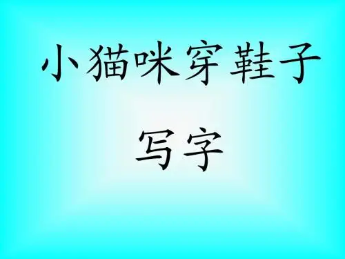小猫咪穿鞋子写字课