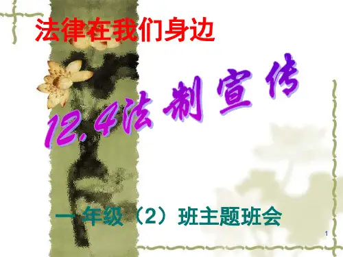 小学生宪法学习(课堂PPT)