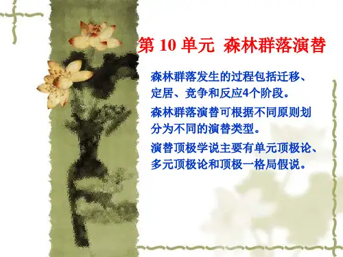 (完整版)森林群落发育及演替