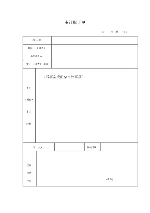 审计取证单参考格式 2