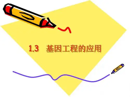 基因工程的应用
