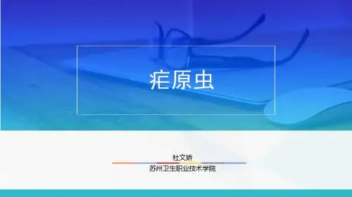 疟原虫