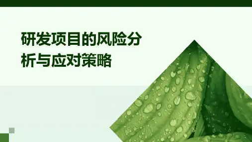 研发项目的风险分析与应对策略 (2)