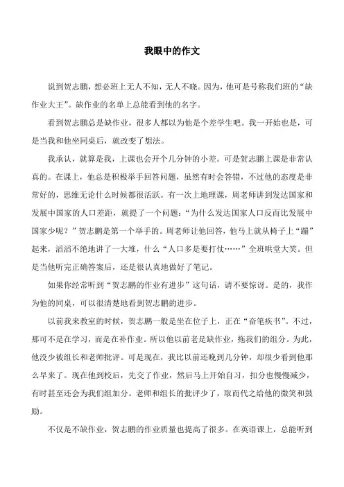 我眼中的作文