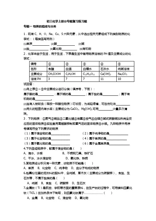 初三化学上册分专题复习(人教版)