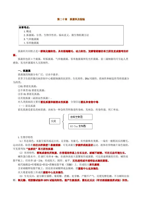 微生物检验弧菌科及检验