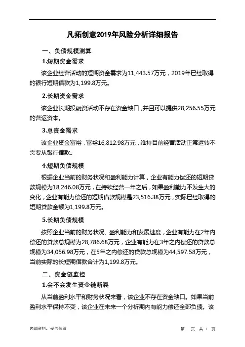 凡拓创意2019年财务风险分析详细报告