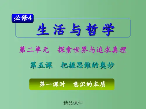 高考政治一轮复习 2.5.1意识的本质 必修4