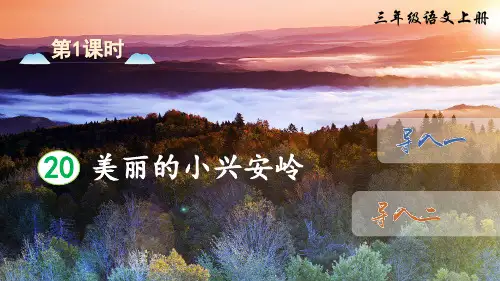 【最新】部编版三年级语文上册第20课《美丽的小兴安岭》精美课件