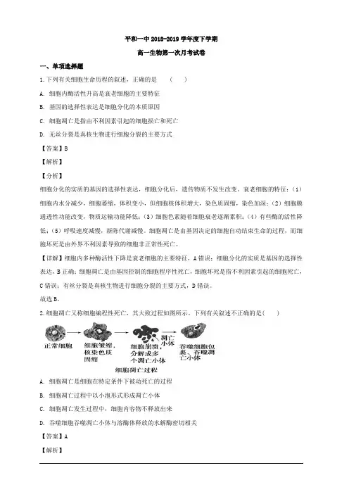 福建省漳州市平和第一中学2018-2019学年高一下学期第一次月考生物试题 含解析