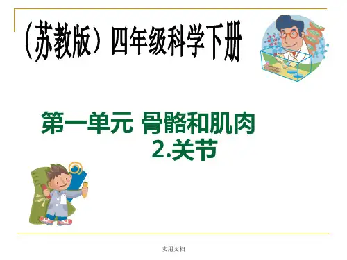 版小学科学四年级下册《关节》