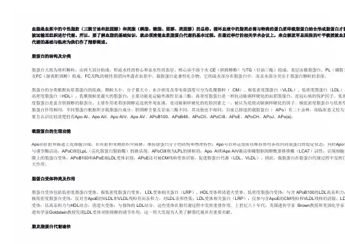 血脂代谢的基础与临床