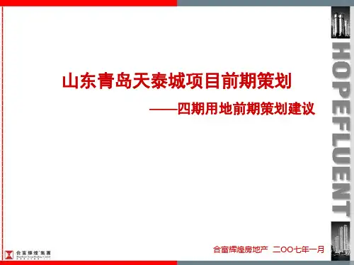 山东青岛天泰城项目前期策划AAAA精品文档