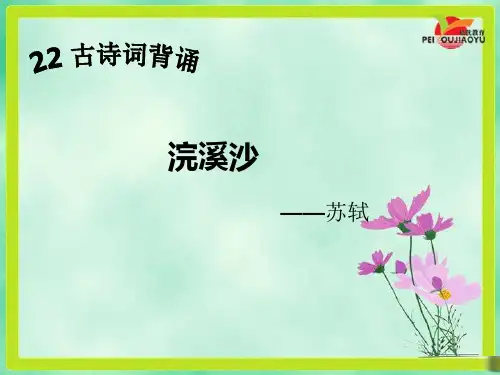 人教版小学六年级语文下册《浣溪沙》课件